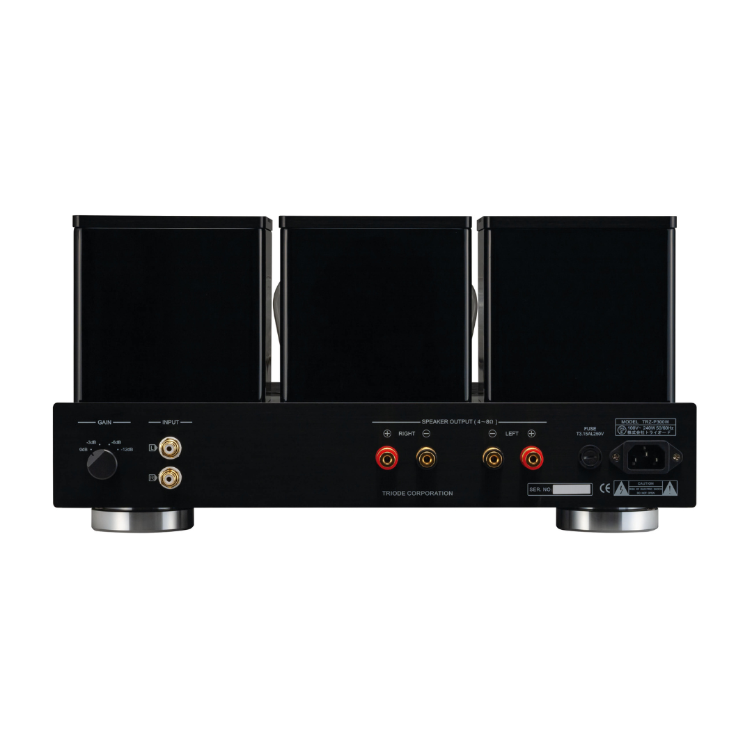 Triode Corporation TRZ-P300W Tube Power Amplifier - Image 2