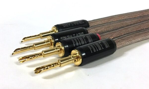 Tara Labs RSC Prime M1 Speaker Cables