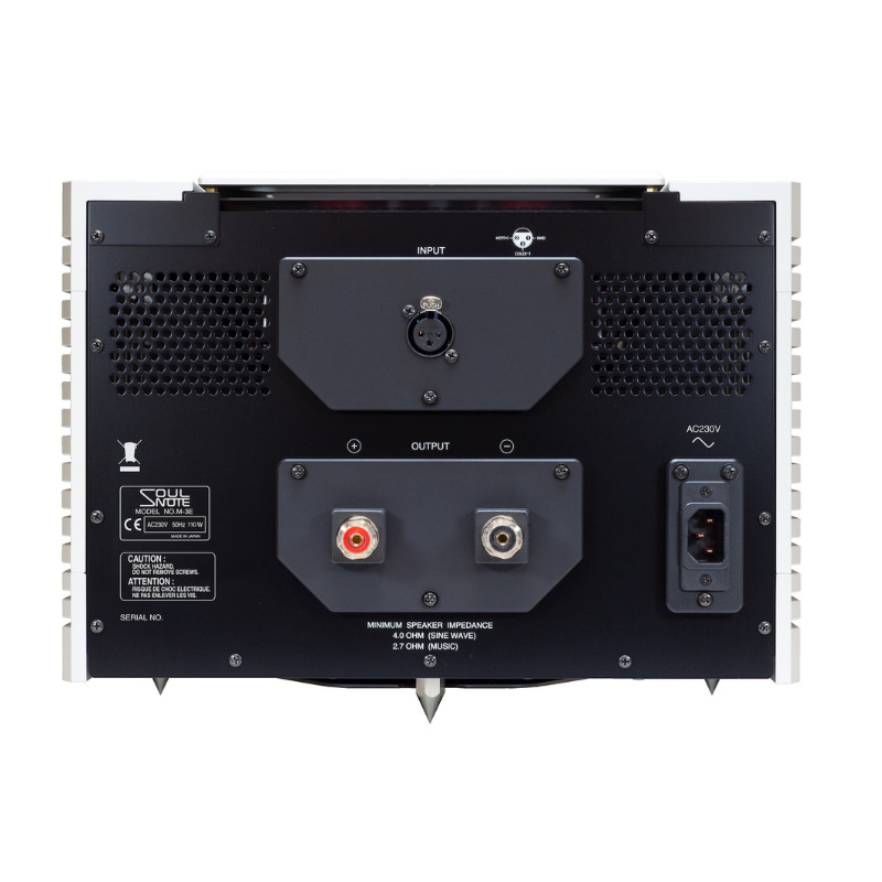 SOULNOTE M-3 Monoblock Power Amplifier - Image 4